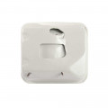 PPPW-2900 Replacement Fuel Tank